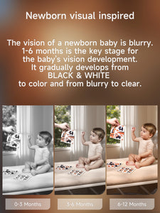 TK Sensory Tissue Box (Black & White)