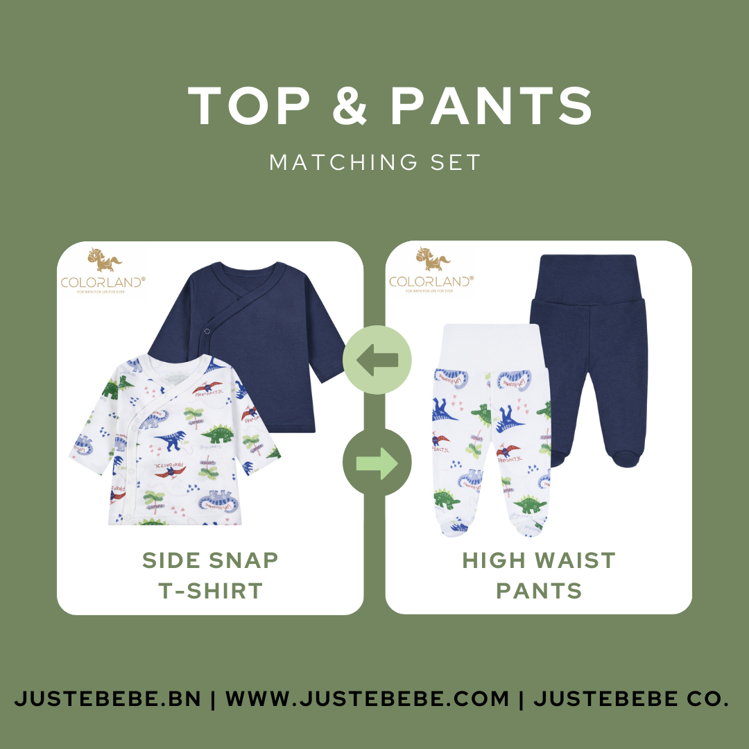 Dinosaur Matching Set (Top + Pants)