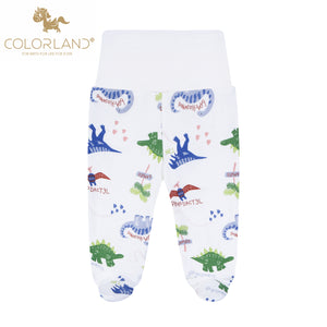 Dinosaur Matching Set (Top + Pants)