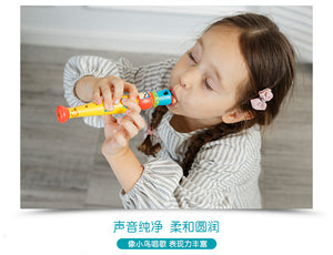 Wooden Flute Toys